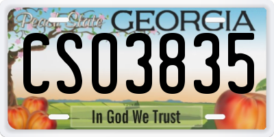 GA license plate CSO3835
