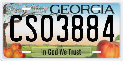 GA license plate CSO3884