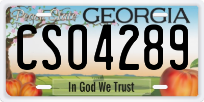 GA license plate CSO4289