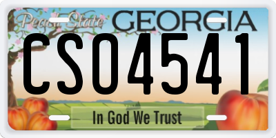 GA license plate CSO4541