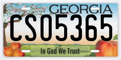 GA license plate CSO5365
