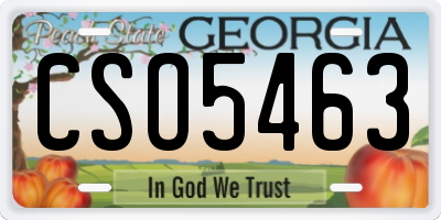 GA license plate CSO5463