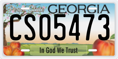 GA license plate CSO5473