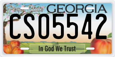 GA license plate CSO5542