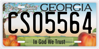 GA license plate CSO5564