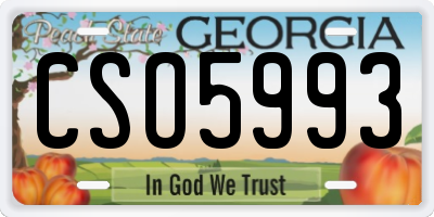 GA license plate CSO5993