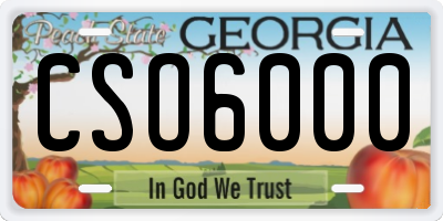 GA license plate CSO6000