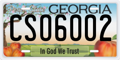 GA license plate CSO6002