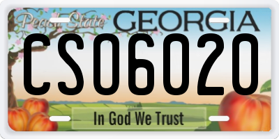GA license plate CSO6020