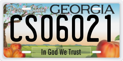 GA license plate CSO6021