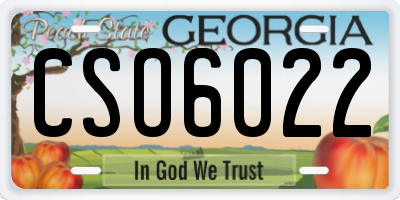 GA license plate CSO6022