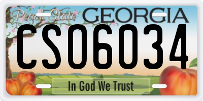 GA license plate CSO6034