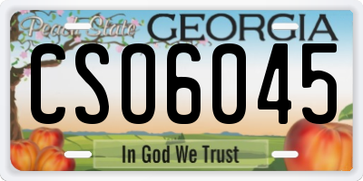 GA license plate CSO6045