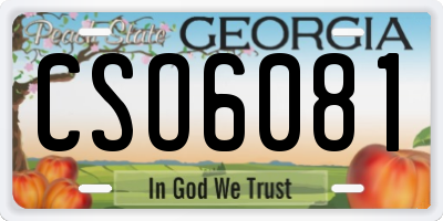 GA license plate CSO6081