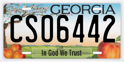 GA license plate CSO6442