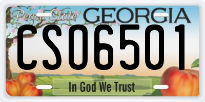 GA license plate CSO6501