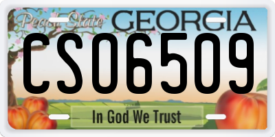 GA license plate CSO6509