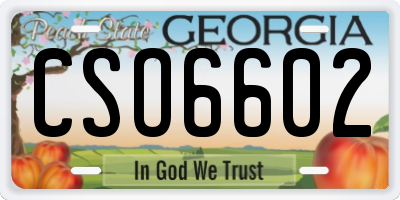 GA license plate CSO6602