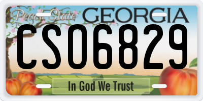 GA license plate CSO6829
