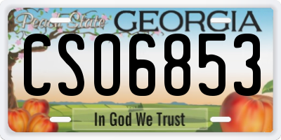 GA license plate CSO6853