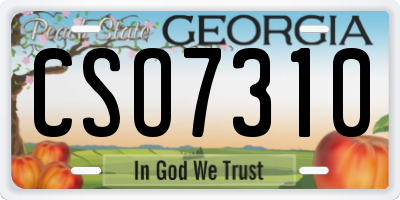 GA license plate CSO7310