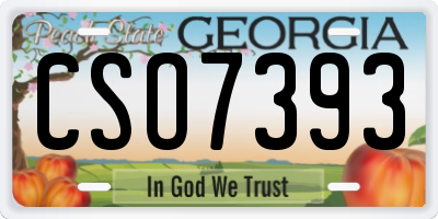 GA license plate CSO7393