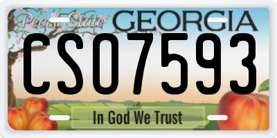 GA license plate CSO7593