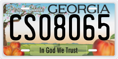 GA license plate CSO8065