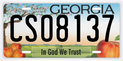 GA license plate CSO8137