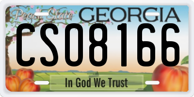 GA license plate CSO8166