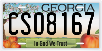 GA license plate CSO8167