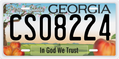 GA license plate CSO8224
