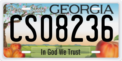 GA license plate CSO8236