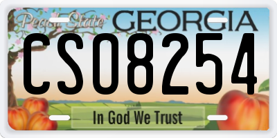 GA license plate CSO8254