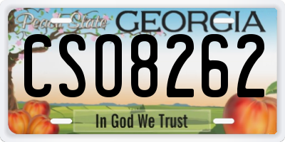 GA license plate CSO8262
