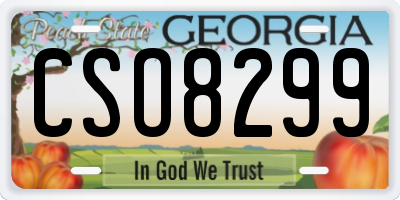 GA license plate CSO8299