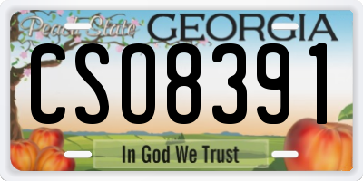 GA license plate CSO8391