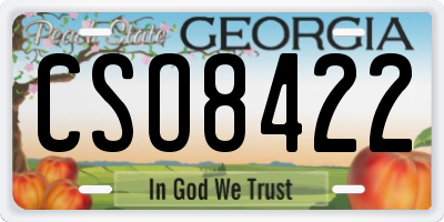 GA license plate CSO8422