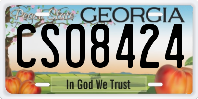 GA license plate CSO8424