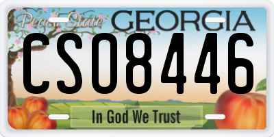 GA license plate CSO8446