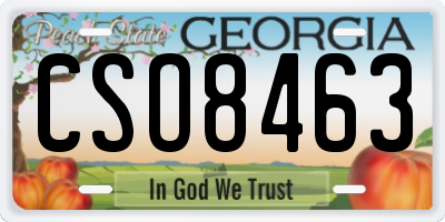 GA license plate CSO8463