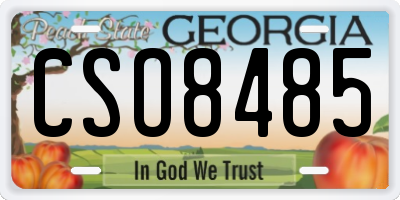 GA license plate CSO8485