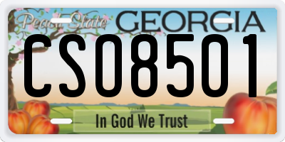 GA license plate CSO8501