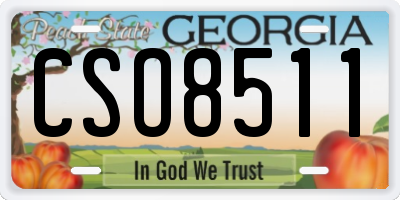 GA license plate CSO8511