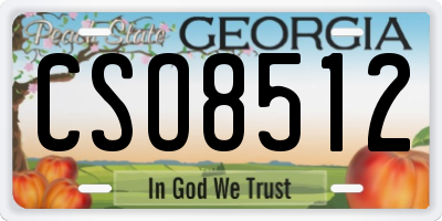 GA license plate CSO8512