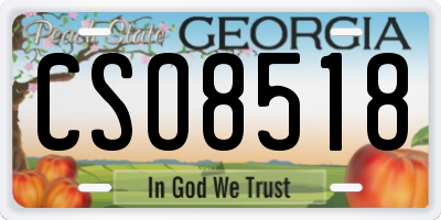 GA license plate CSO8518