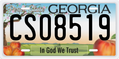 GA license plate CSO8519