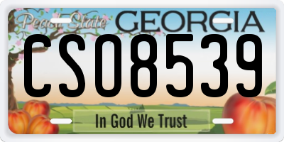 GA license plate CSO8539