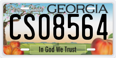 GA license plate CSO8564