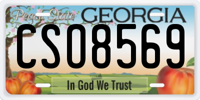 GA license plate CSO8569